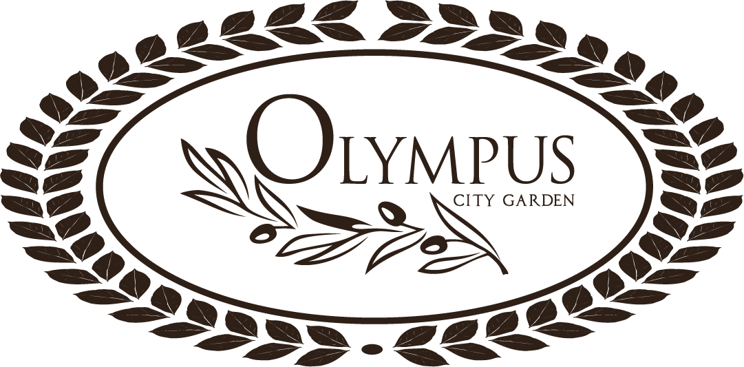 OLYMPUS